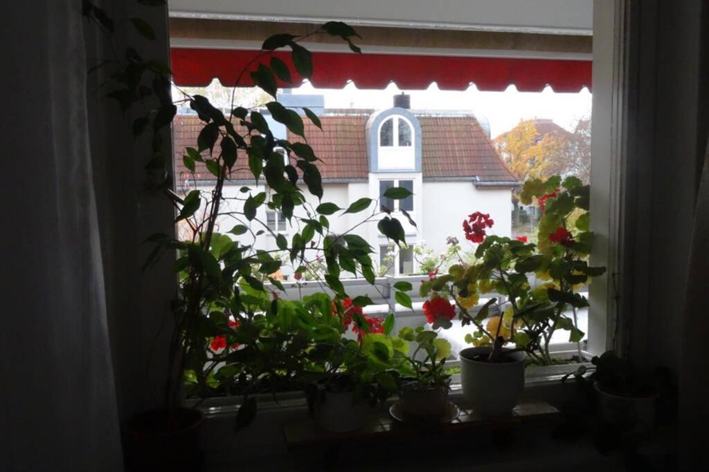 Schoene, Ruhige Wohnung In Berlin-Steglitz Exteriér fotografie